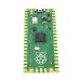 Raspberry Pi Pico
